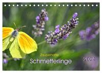 Zauberhafte Schmetterlinge (Tischkalender 2024 DIN A5 quer), CALVENDO Monatskalender