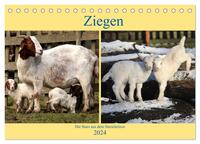 Ziegen - Die Stars aus dem Streichelzoo (Tischkalender 2024 DIN A5 quer), CALVENDO Monatskalender