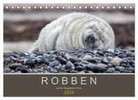 Robben auf der Helgoländer Düne (Tischkalender 2024 DIN A5 quer), CALVENDO Monatskalender