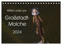 Mitten unter uns - Großstadt-Molche (Tischkalender 2024 DIN A5 quer), CALVENDO Monatskalender