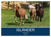 Isländer - icelandic horses (Wandkalender 2024 DIN A2 quer), CALVENDO Monatskalender