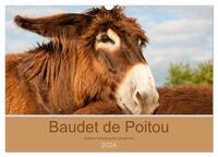 Baudet de Poitou - Seltene französische Langohren (Wandkalender 2024 DIN A3 quer), CALVENDO Monatskalender