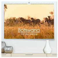 Botswana - Ruf der Wildnis (hochwertiger Premium Wandkalender 2024 DIN A2 quer), Kunstdruck in Hochglanz