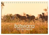Botswana - Ruf der Wildnis (Tischkalender 2024 DIN A5 quer), CALVENDO Monatskalender