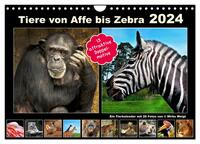 Tiere von Affe bis Zebra 2024 (Wandkalender 2024 DIN A4 quer), CALVENDO Monatskalender
