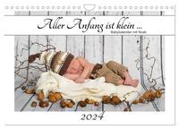 Aller Anfang ist klein - Babykalender mit Noah (Wandkalender 2024 DIN A4 quer), CALVENDO Monatskalender