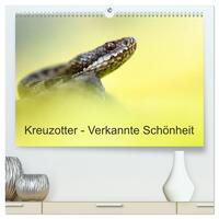 Kreuzotter - Verkannte Schönheit (hochwertiger Premium Wandkalender 2024 DIN A2 quer), Kunstdruck in Hochglanz
