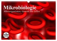 Mikrobiologie. Mikroorganismen, Genetik und Zellen (Wandkalender 2024 DIN A3 quer), CALVENDO Monatskalender