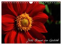 Jede Blume ein Gedicht (Wandkalender 2024 DIN A4 quer), CALVENDO Monatskalender