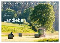 Gesehen - Landleben (Tischkalender 2024 DIN A5 quer), CALVENDO Monatskalender