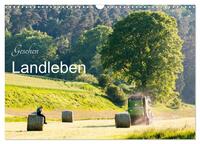 Gesehen - Landleben (Wandkalender 2024 DIN A3 quer), CALVENDO Monatskalender