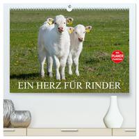 Ein Herz für Rinder (hochwertiger Premium Wandkalender 2024 DIN A2 quer), Kunstdruck in Hochglanz