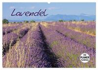 Lavendel (Wandkalender 2024 DIN A2 quer), CALVENDO Monatskalender