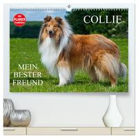 Collie - Mein bester Freund (hochwertiger Premium Wandkalender 2024 DIN A2 quer), Kunstdruck in Hochglanz