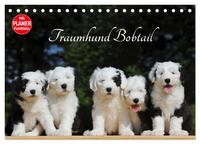 Traumhund Bobtail (Tischkalender 2024 DIN A5 quer), CALVENDO Monatskalender