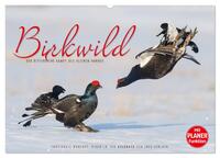 Emotionale Momente: Birkwild (Wandkalender 2024 DIN A2 quer), CALVENDO Monatskalender