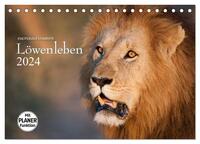 Emotionale Momente: Löwenleben (Tischkalender 2024 DIN A5 quer), CALVENDO Monatskalender