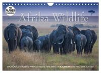 Emotionale Momente: Afrika Wildlife. Part 3. (Wandkalender 2024 DIN A4 quer), CALVENDO Monatskalender