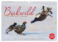 Emotionale Momente: Birkwild (Wandkalender 2024 DIN A3 quer), CALVENDO Monatskalender