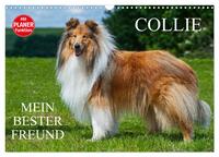 Collie - Mein bester Freund (Wandkalender 2024 DIN A3 quer), CALVENDO Monatskalender