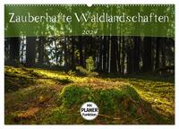 Zauberhafte Waldlandschaften (Wandkalender 2024 DIN A2 quer), CALVENDO Monatskalender