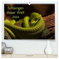 Schlangen dieser Welt (hochwertiger Premium Wandkalender 2024 DIN A2 quer), Kunstdruck in Hochglanz