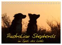 Australian Shepherds im Spiel des Lichts (Tischkalender 2024 DIN A5 quer), CALVENDO Monatskalender