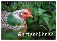 Gartenhühner (Tischkalender 2024 DIN A5 quer), CALVENDO Monatskalender