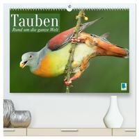 Tauben rund um die ganze Welt (hochwertiger Premium Wandkalender 2024 DIN A2 quer), Kunstdruck in Hochglanz