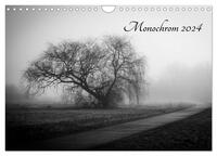 Monochrom 2024 (Wandkalender 2024 DIN A4 quer), CALVENDO Monatskalender