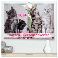Katzen Persönlichkeiten 2024 (hochwertiger Premium Wandkalender 2024 DIN A2 quer), Kunstdruck in Hochglanz