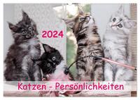 Katzen Persönlichkeiten 2024 (Wandkalender 2024 DIN A2 quer), CALVENDO Monatskalender