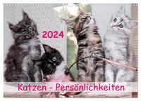 Katzen Persönlichkeiten 2024 (Wandkalender 2024 DIN A3 quer), CALVENDO Monatskalender