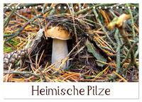 Heimische Pilze (Tischkalender 2024 DIN A5 quer), CALVENDO Monatskalender