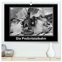 Die Preßnitztalbahn (hochwertiger Premium Wandkalender 2024 DIN A2 quer), Kunstdruck in Hochglanz
