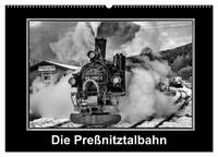 Die Preßnitztalbahn (Wandkalender 2024 DIN A2 quer), CALVENDO Monatskalender