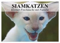Siamkatzen - Kleiner Frechdachs mit Familie (Wandkalender 2024 DIN A2 quer), CALVENDO Monatskalender