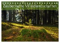 Zauberhafte Waldlandschaften (Tischkalender 2024 DIN A5 quer), CALVENDO Monatskalender
