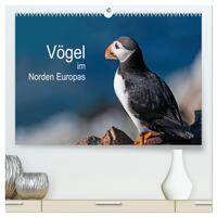 Vögel im Norden Europas (hochwertiger Premium Wandkalender 2024 DIN A2 quer), Kunstdruck in Hochglanz