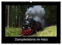 Dampferlebnis im Harz (Wandkalender 2024 DIN A2 quer), CALVENDO Monatskalender