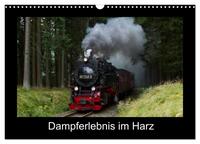 Dampferlebnis im Harz (Wandkalender 2024 DIN A3 quer), CALVENDO Monatskalender