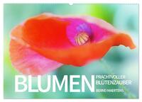 BLUMEN Prachtvoller Blütenzauber (Wandkalender 2024 DIN A2 quer), CALVENDO Monatskalender