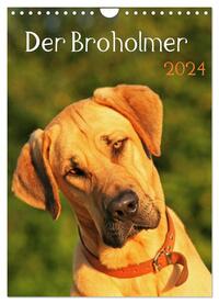 Der Broholmer (Wandkalender 2024 DIN A4 hoch), CALVENDO Monatskalender