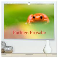 Farbige Frösche (hochwertiger Premium Wandkalender 2024 DIN A2 quer), Kunstdruck in Hochglanz
