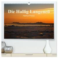 Die Hallig Langeneß / CH-Version (hochwertiger Premium Wandkalender 2024 DIN A2 quer), Kunstdruck in Hochglanz
