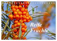Reife Früchte (Tischkalender 2024 DIN A5 quer), CALVENDO Monatskalender