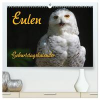 Eulen (hochwertiger Premium Wandkalender 2024 DIN A2 quer), Kunstdruck in Hochglanz
