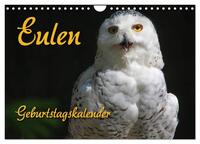 Eulen (Wandkalender 2024 DIN A4 quer), CALVENDO Monatskalender