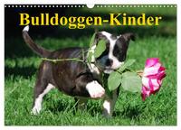 Bulldoggen-Kinder (Wandkalender 2024 DIN A3 quer), CALVENDO Monatskalender