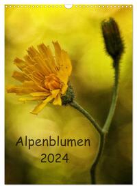 Alpenblumen 2024 (Wandkalender 2024 DIN A3 hoch), CALVENDO Monatskalender
